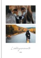 Fotobuch 