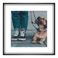 Foto auf Hahnemuehle im Format 32 x 18 cm im Alurahmen im Format 32 x 18 cm, schwarz in schwarz im Format 32 x 18 cm
