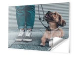 myposter, Photo auf Forex im Format 32 x 18 cm