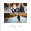 myposter, Echtfotobuch 
