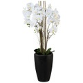 Orchideenarrangement weiß in Vase, XXL, 120 cm