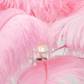 Tischleuchte Feather Palm pink 60