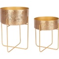 Pflanzentopf Varanasi gold rund (2er-Set)