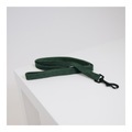 Kentucky Dogwear Hundeleine Lizard - grün