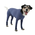 Vetmedcare, Vetmedcare Body Dog Hündin mit Beinen - blau