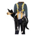 Ruffwear Hundenotfall-Set BackTrak Dog Evacuation Kit - Cloudburst Gray -