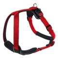 Hunter Geschirr Neopren/Nylon - rot/schwarz