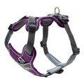 Hunter Geschirr Divo - violett/grau