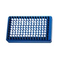 Base Nylon Bürste