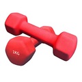 Hexagonal Neoprene 2 x 1 kg Hantel Set