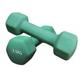 Hexagonal Neoprene 2 x 1.5 kg Hantel Set