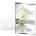 Trauerkarte Weiße Amaryllis, 10 Stück
