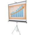 NOBO Projektionsbildschirm mit Stativ - 243 cm (95.7