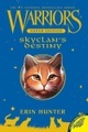 Warriors, Super Edition, SkyClan's Destiny