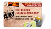 Tierfotografie 