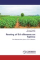 Rearing of Eri silkworm on Tapioca