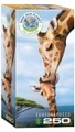 Giraffenmutterkuss (Puzzle)