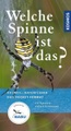 undefined, Welche Spinne ist das?