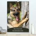 Deutscher Schäferhund (Premium, hochwertiger DIN A2 Wandkalender 2022, Kunstdruck in Hochglanz): Mon