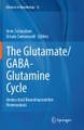 The Glutamate/GABA-Glutamine Cycle: Amino Acid Neurotransmitter Homeostasis