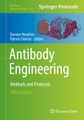 Antibody Engineering