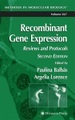 Recombinant Gene Expression
