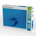 CALVENDO Puzzle Großer Tümmler (Tursiops truncatus) 1000 Teile Lege-Größe 64 x 48 cm Foto-Puzzle Bil