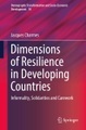 Dimensions of Resilience in Developing Countries