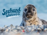 Seehund, Walross & Co. Kalender 2022