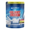 IRONMAXX 100% WHEY PROTEIN, 500g, Milk Chocolate