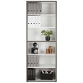 Regal in Grau/Weiss