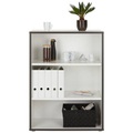 Regal in Grau/Weiss