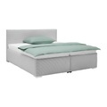 Polsterbett Lesia in Grau ca. 200x200cm