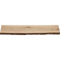 Duraline 4xS XS2 Regal Eiche Furnier Rinde PEFC 20x80x23,5cm