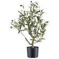 Dekobaum Olivenbaum I Grün/Naturfarben