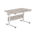 PAIDI, Paidi Jugendschreibtisch 120/70/53-79 cm in weiss, eichefarben , Diego 120 , Kunststoff, Holzwerkstoff , 70x53-79 cm , pulverbeschichtet,Dekorfolie, melaminharzbeschichtet,Nachbildung , höhenverstellbar , 000345018106