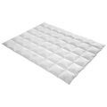 Billerbeck, Billerbeck Daunenduvet 200/210 cm , Brissago Medium , weiss , Textil , 200x210 cm , temperaturausgleichend, feuchtigkeitsregulierend, weich und anschmiegsam, reines Naturprodukt, passt sich perfekt der Körperform an, für alle Schlafpositionen geeig
