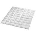 Billerbeck, Billerbeck Daunenduvet 200/210 cm , Brissago Light , weiss , Textil , 200x210 cm , temperaturausgleichend, feuchtigkeitsregulierend, weich und anschmiegsam, reines Naturprodukt, passt sich perfekt der Körperform an, für alle Schlafpositionen geeign