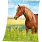 HERDING, Herding Fleecedecke Pferd - bunt - Gr.130 cm