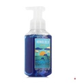 Bath Body Work - Handseife Honolulu - 259 ml