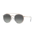 Ray-Ban - Sonnenbrille Round Double Bridge - Gold