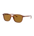 Ray-Ban - Sonnenbrille Leonard - Schildpatt