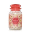 Yankee Candle - Duftkerze Discovery - 623 g