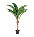 House Nordic - Künstliche Pflanze Banana Palm - Grün