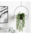 undefined, Home - Blumentopf - Schwarz