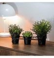 undefined, Home - Blumentopf - Schwarz