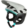 Alpina Root MIPS Fahrradhelm