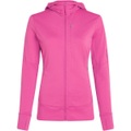 Icebreaker Damen 260 Quantum IV Hoodie Jacke