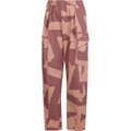 adidas Terrex Damen Xploric AOP Cargo Hose