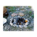 Relags Basic Campinggrill 2019 Holzkohlegrills